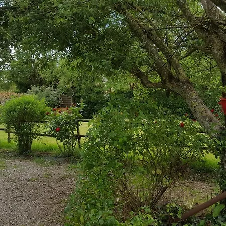 Les Gîtes De La Grange Aux Grains Hébergement de vacances *