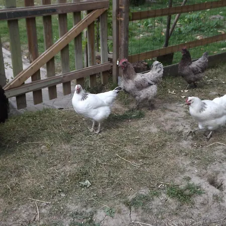 Les Gîtes De La Grange Aux Grains Apremont (Ardennes)