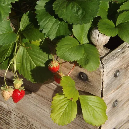 Hébergement de vacances Les Gîtes De La Grange Aux Grains